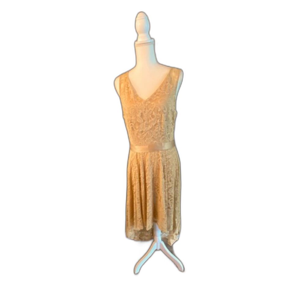 Berry Love High Low Formal Dress XL Chiffon Champagne (Formal or Wedding) - Picture 2 of 13